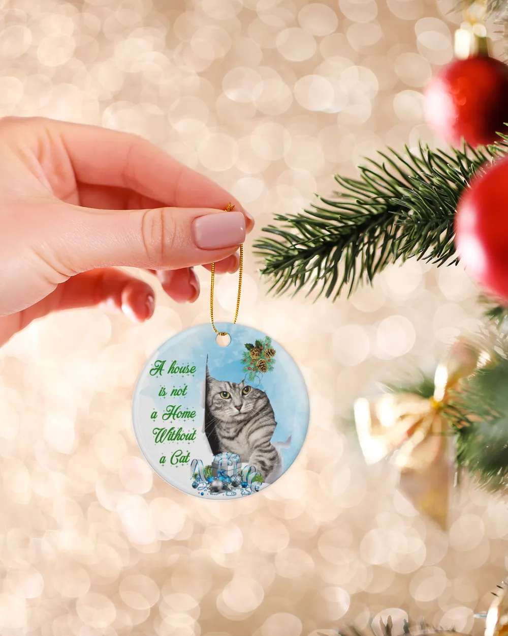 Christmas Ornaments - A house is not a Home without a Cat