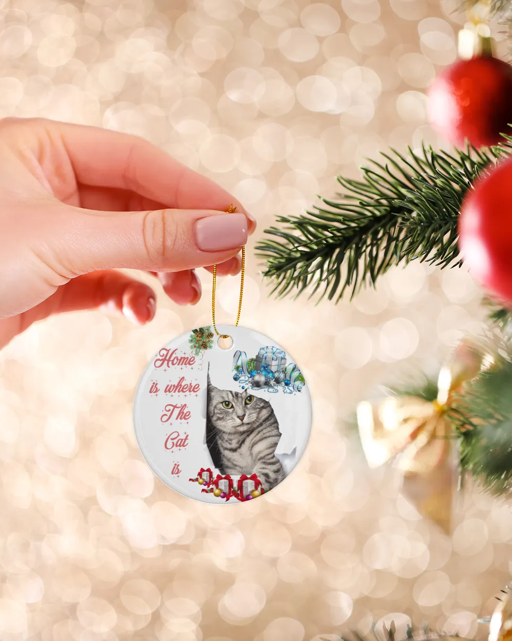 Christmas Ornaments - Home is where the cat is