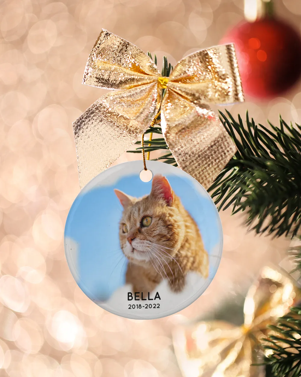 Personalized Custom Cat Pet Memorial Photo Christmas Name And DateYear Ceramic Ornament Porcelain Ornament - Circle white one-sided __single