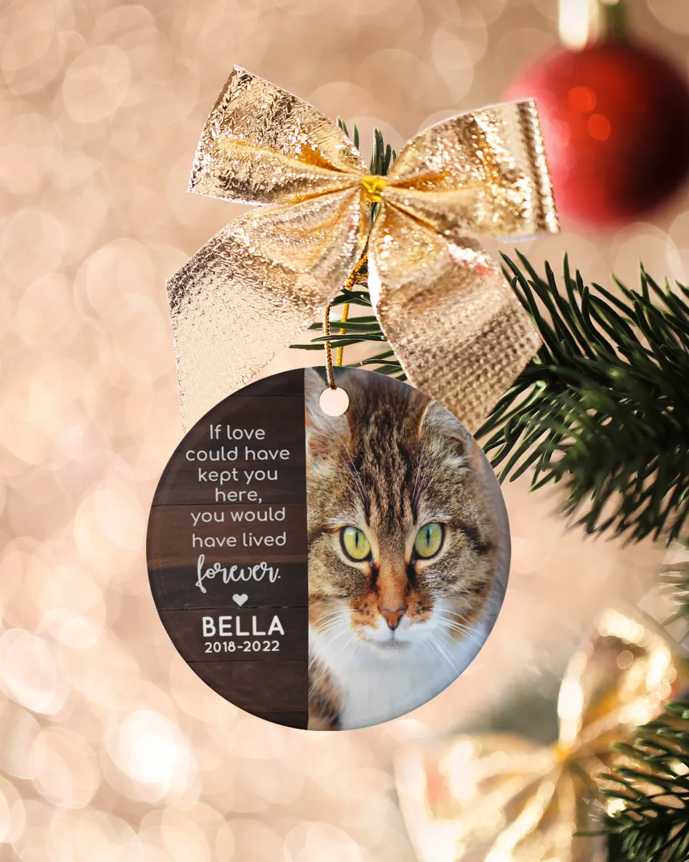 Personalized Custom Cat Pet Memorial Sympathy Christmas Name Ceramic Ornament Porcelain Ornament - Circle white one-sided __single