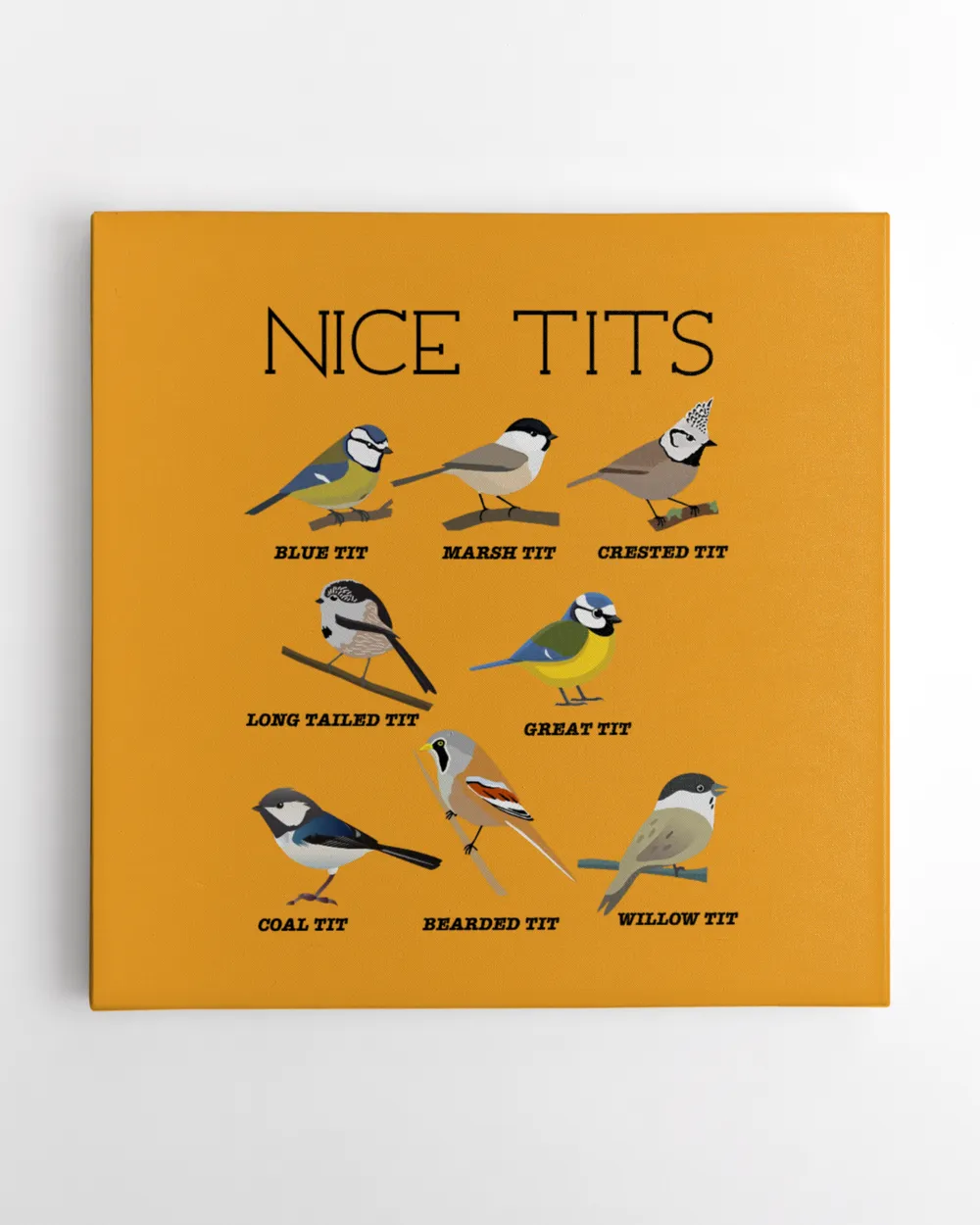 Nice Tits Bird Mug, Tumbler, T-shirt, Hoodie Best Gift For Bird Lovers
