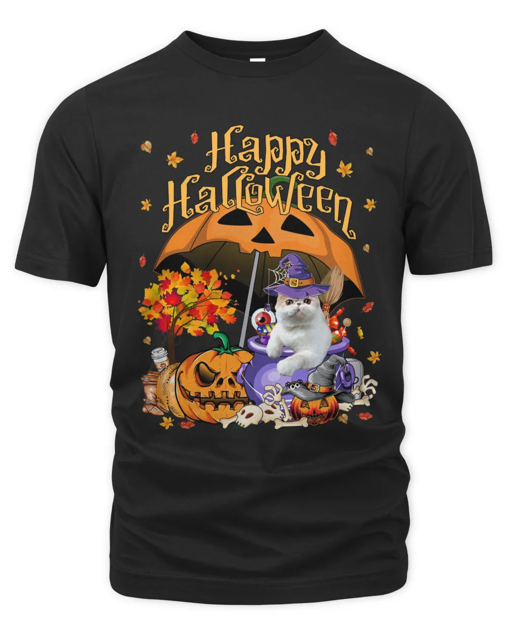 Halloween Witch Exotic Cat