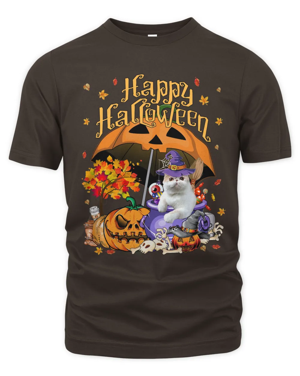 Halloween Witch Exotic Cat