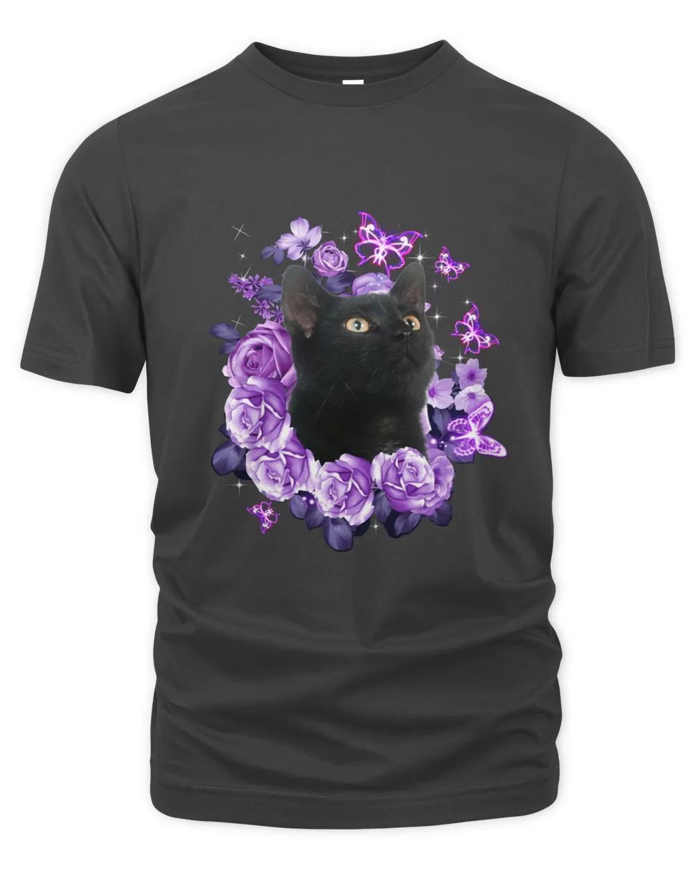 Black Cat Flower Violet Rose Flower
