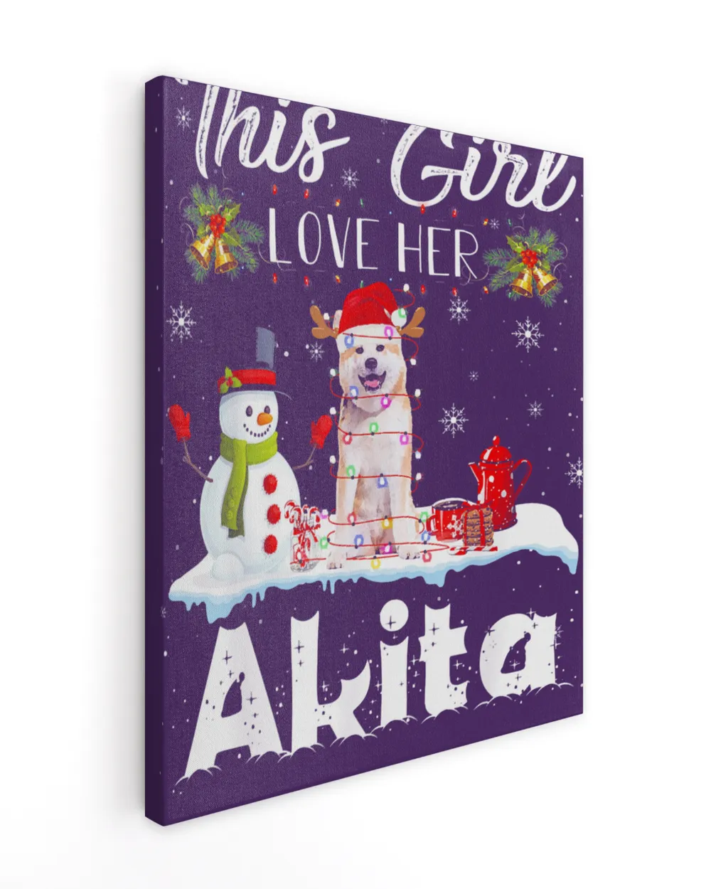 Snow _ Xmas Gifts This Girl Love Her Akita Reindeer Hat T-Shirt