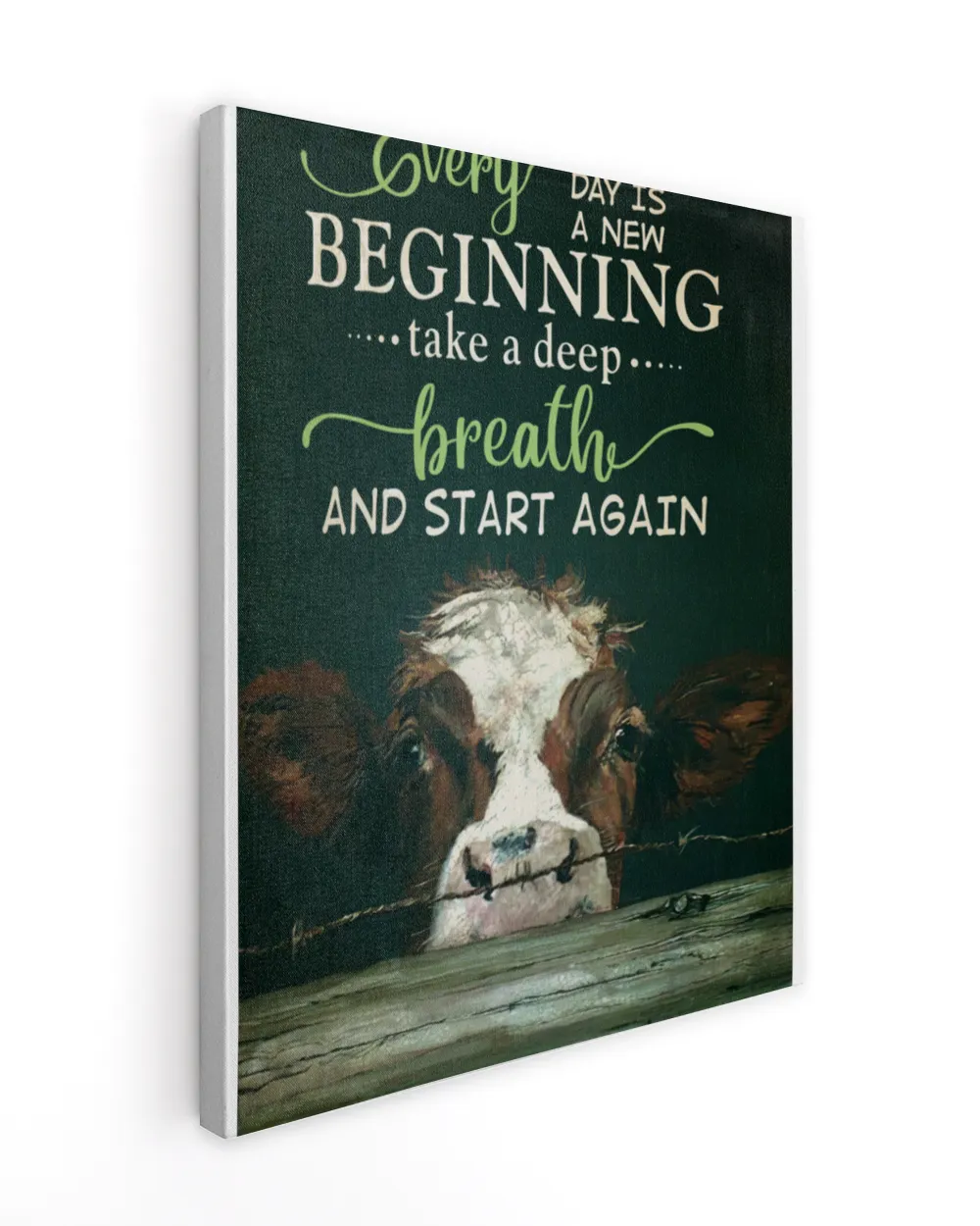 cow every day
