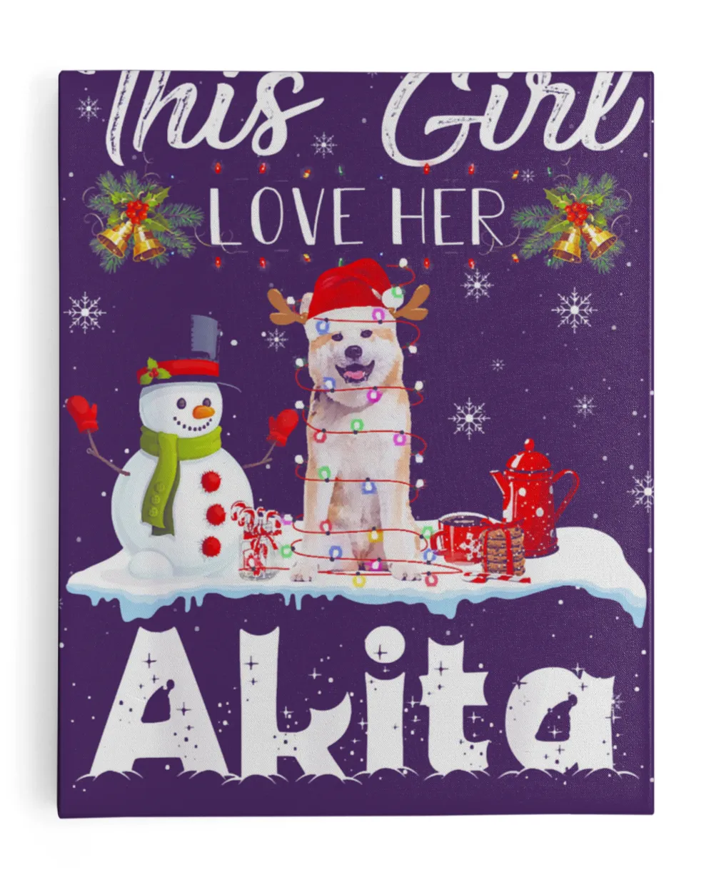 Snow _ Xmas Gifts This Girl Love Her Akita Reindeer Hat T-Shirt