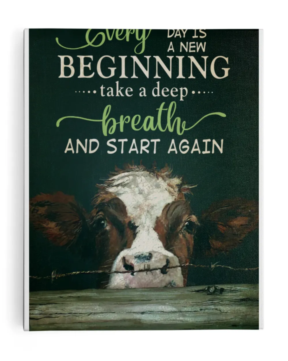 cow every day