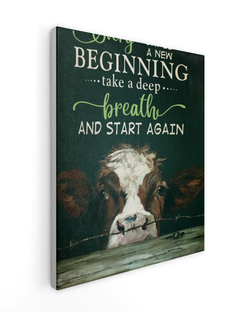 cow every day
