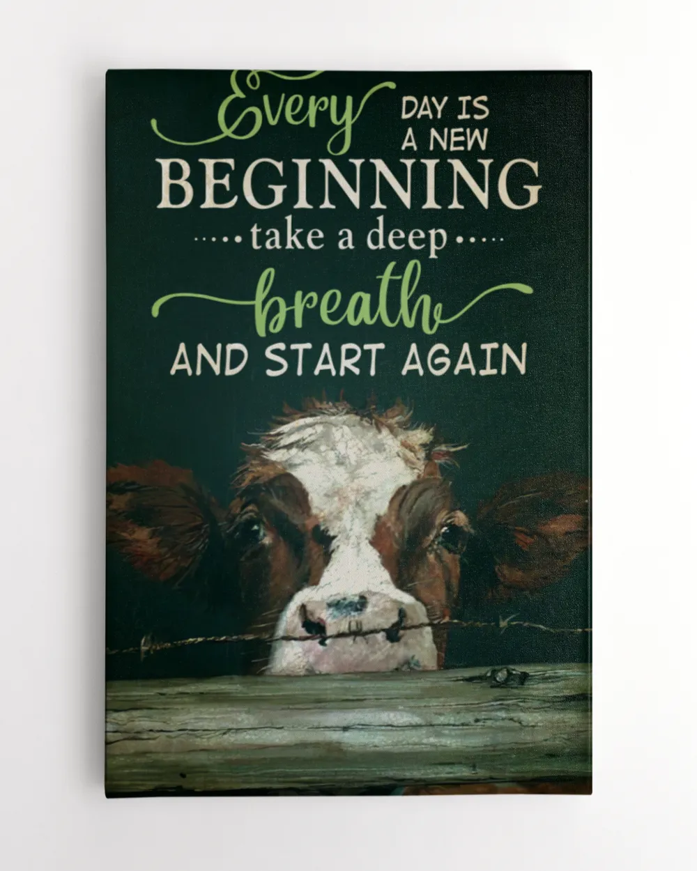cow every day