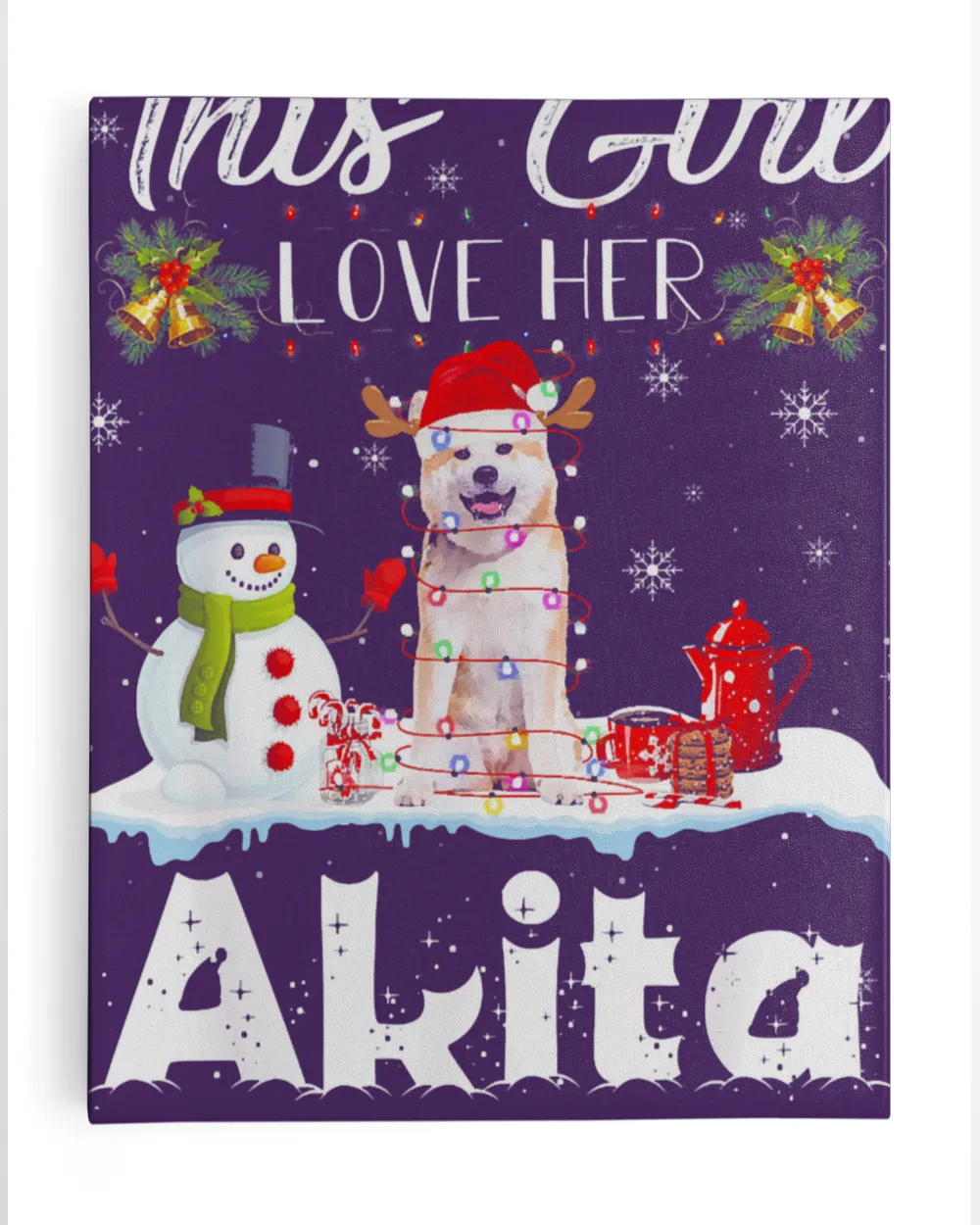 Snow _ Xmas Gifts This Girl Love Her Akita Reindeer Hat T-Shirt