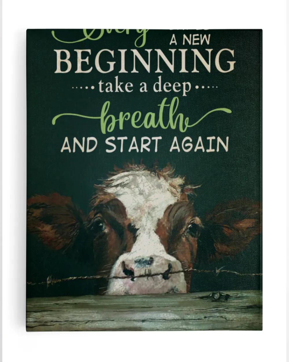 cow every day