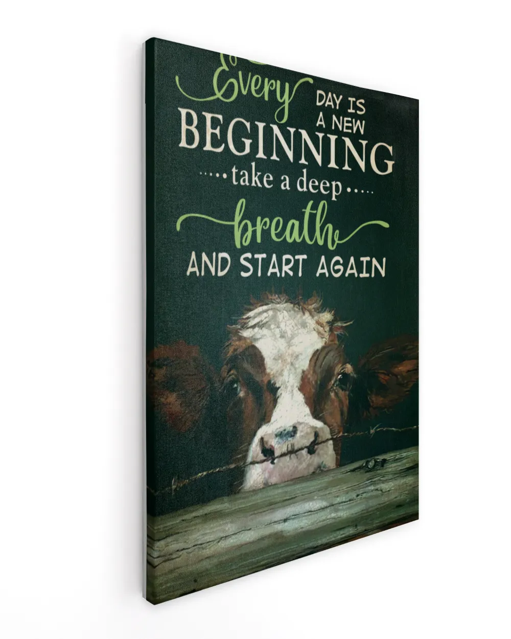 cow every day