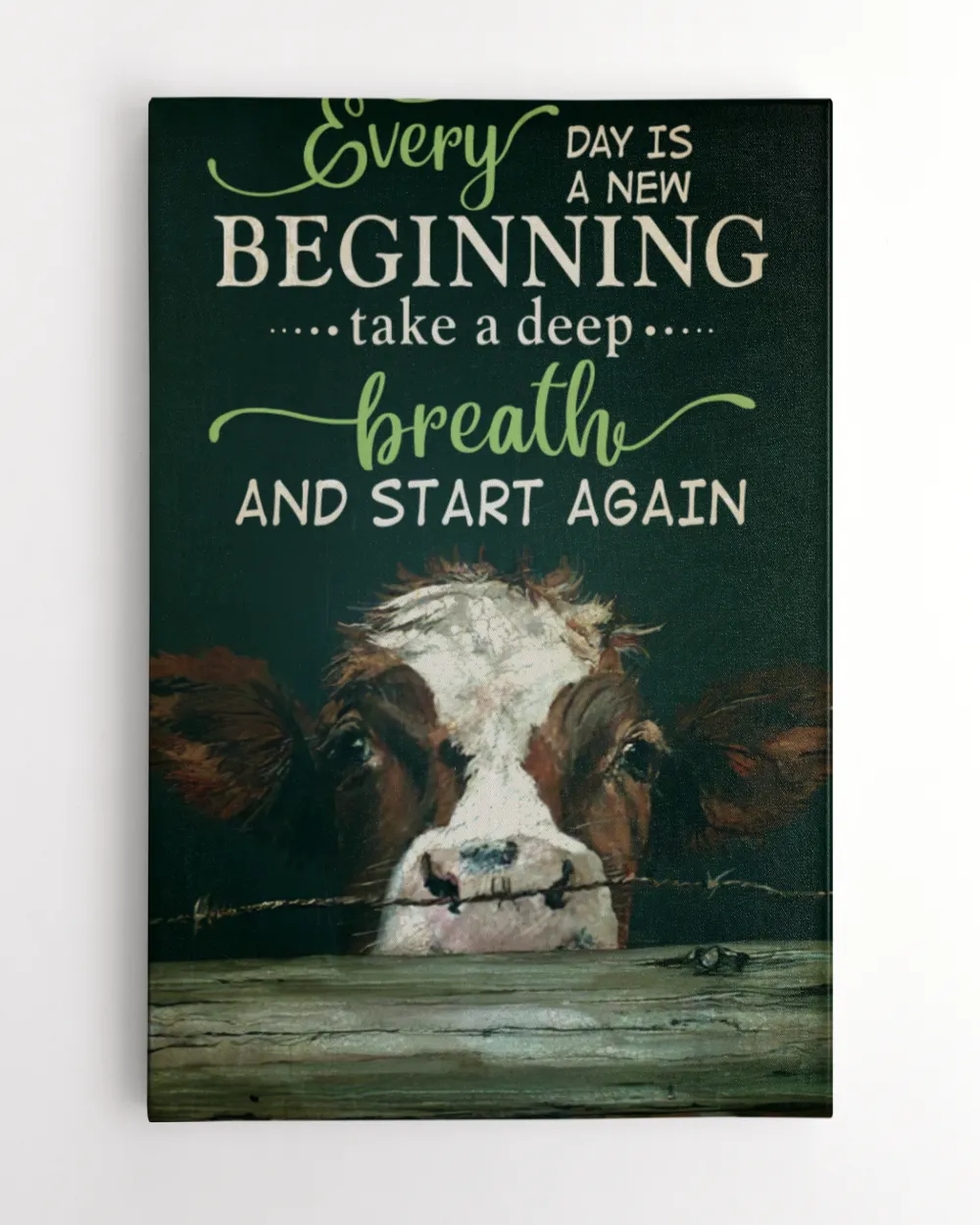 cow every day