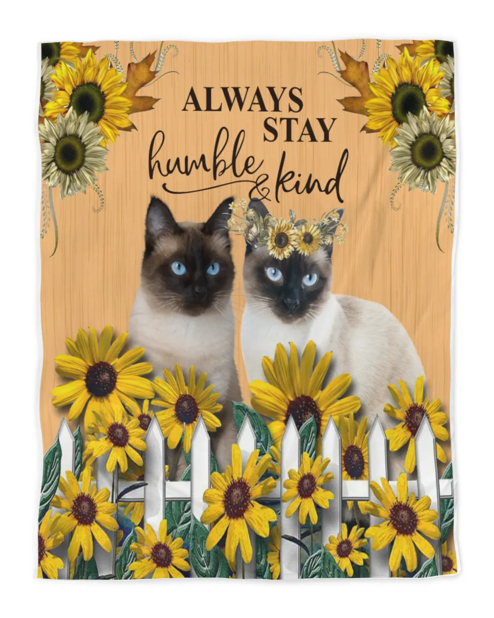 Cat always stay humble and kind