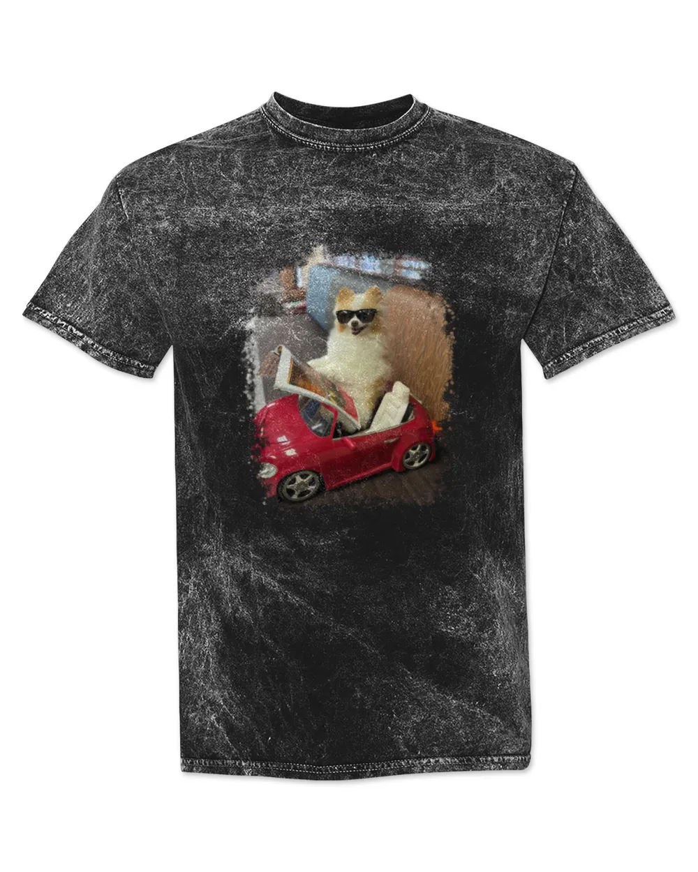 Koda is in The Fluff 3 Mineral Wash T-shirt black s