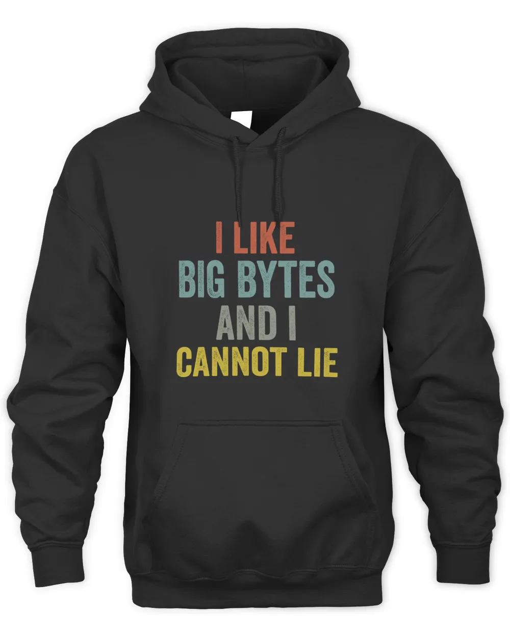 I like big bytes and I cannot lie for programmers developer Unisex Premium Hoodie black s