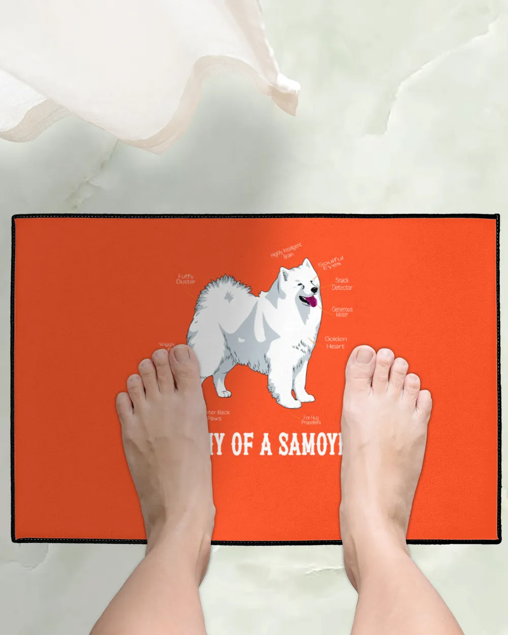 Samoyed Dog Anatomy