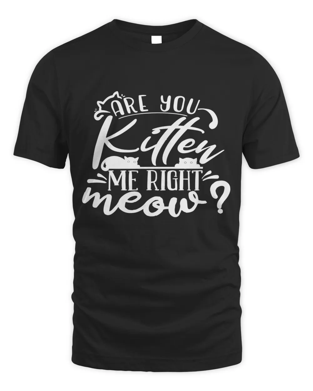 Are you kitten me right meow Men's Standard T-Shirt black s