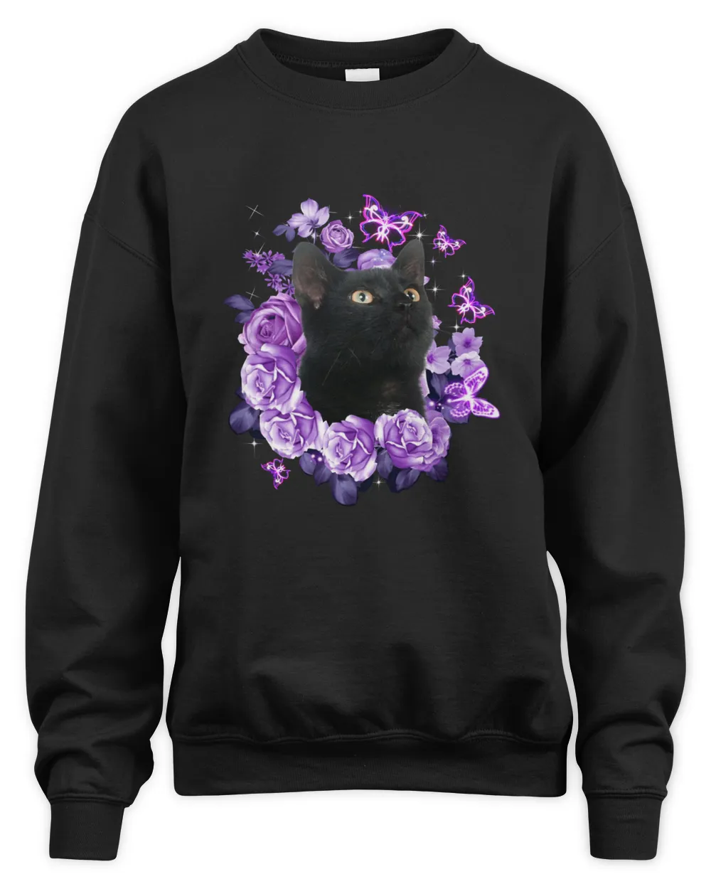 Black Cat Flower Violet Rose Flower