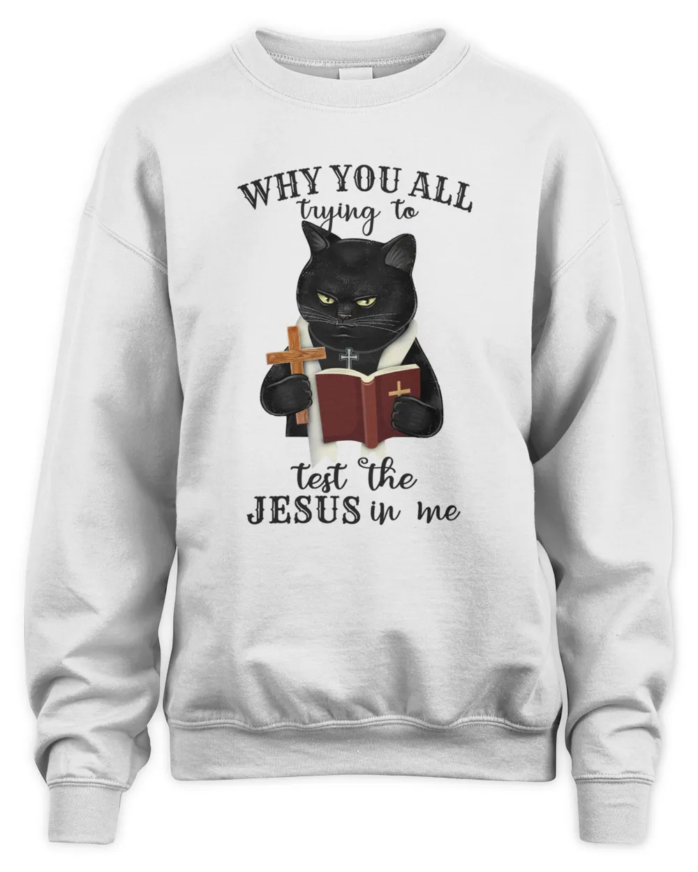 Black Cat Tryng To Test Jesus In Me Kitty Kitten