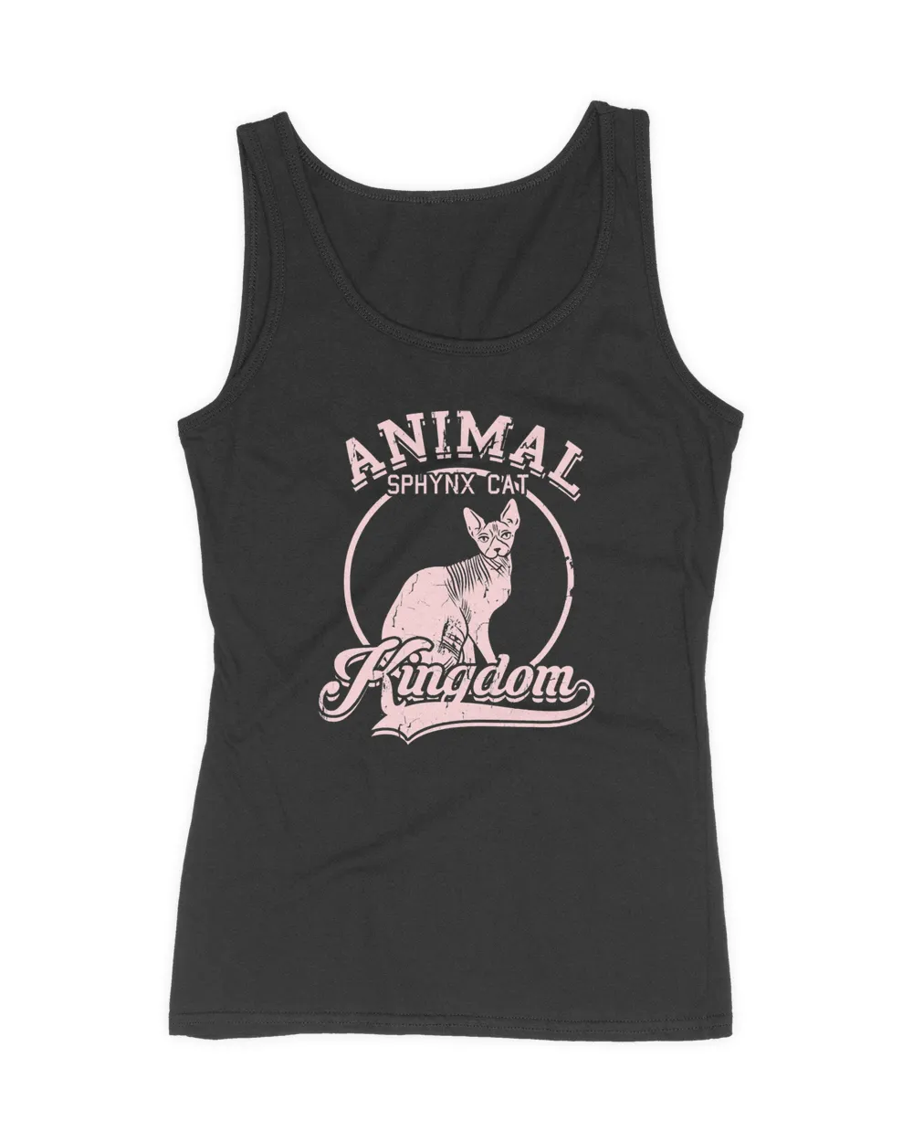 Cat Animal Kingdom Sphynx Cat 193 paws