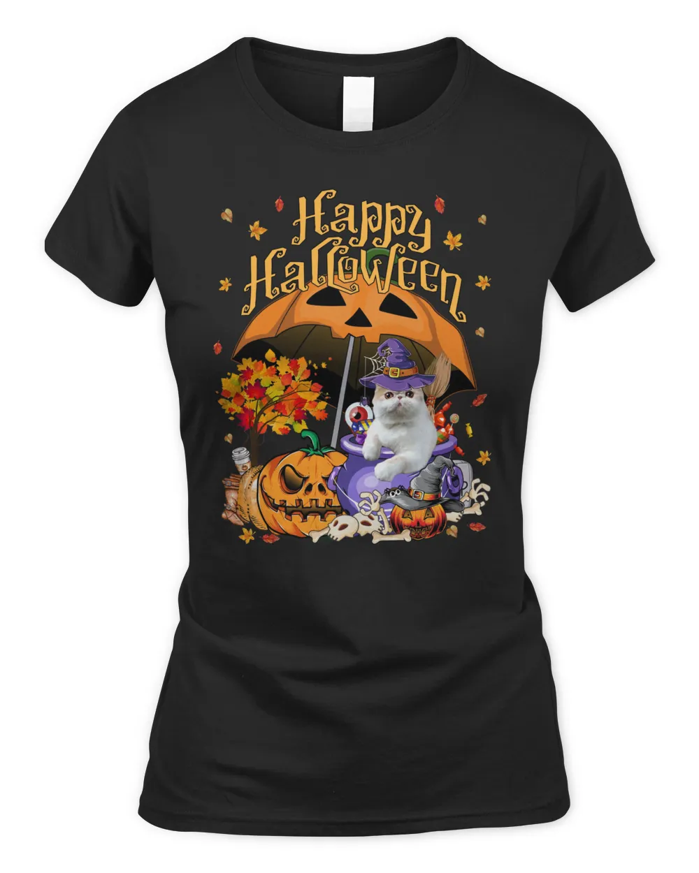 Halloween Witch Exotic Cat