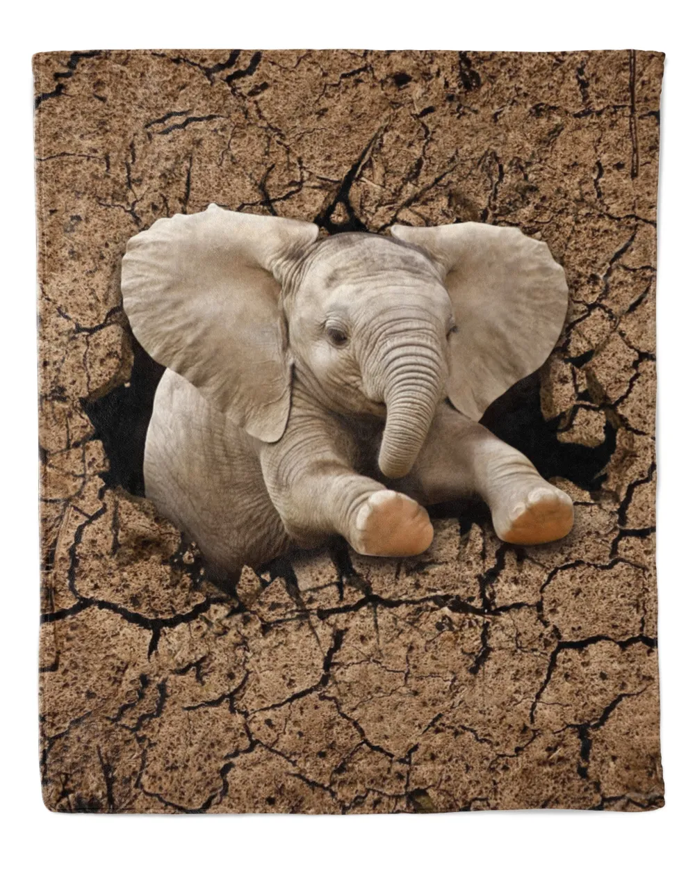Elephant Dry Soil Crack Hole