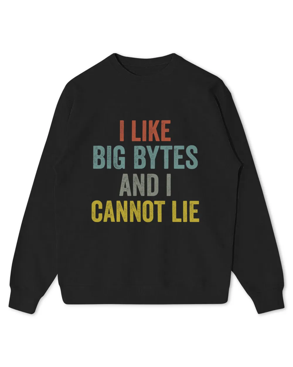 I like big bytes and I cannot lie for programmers developer Kids Standard Sweatshirt black xs