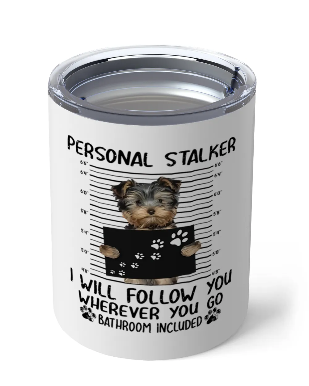 Personal Stalker Shih Tzu Personal Stalker Shih Tzu