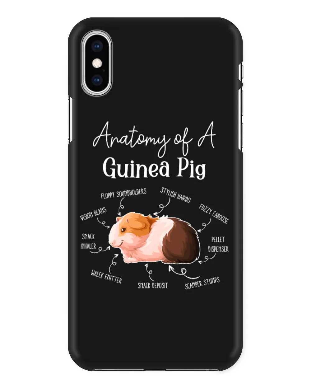 Anatomy of A Guinea Pig