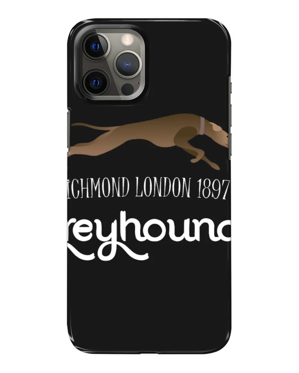 Dog Grayhound richmond london 1897 greyhounds team greyhound