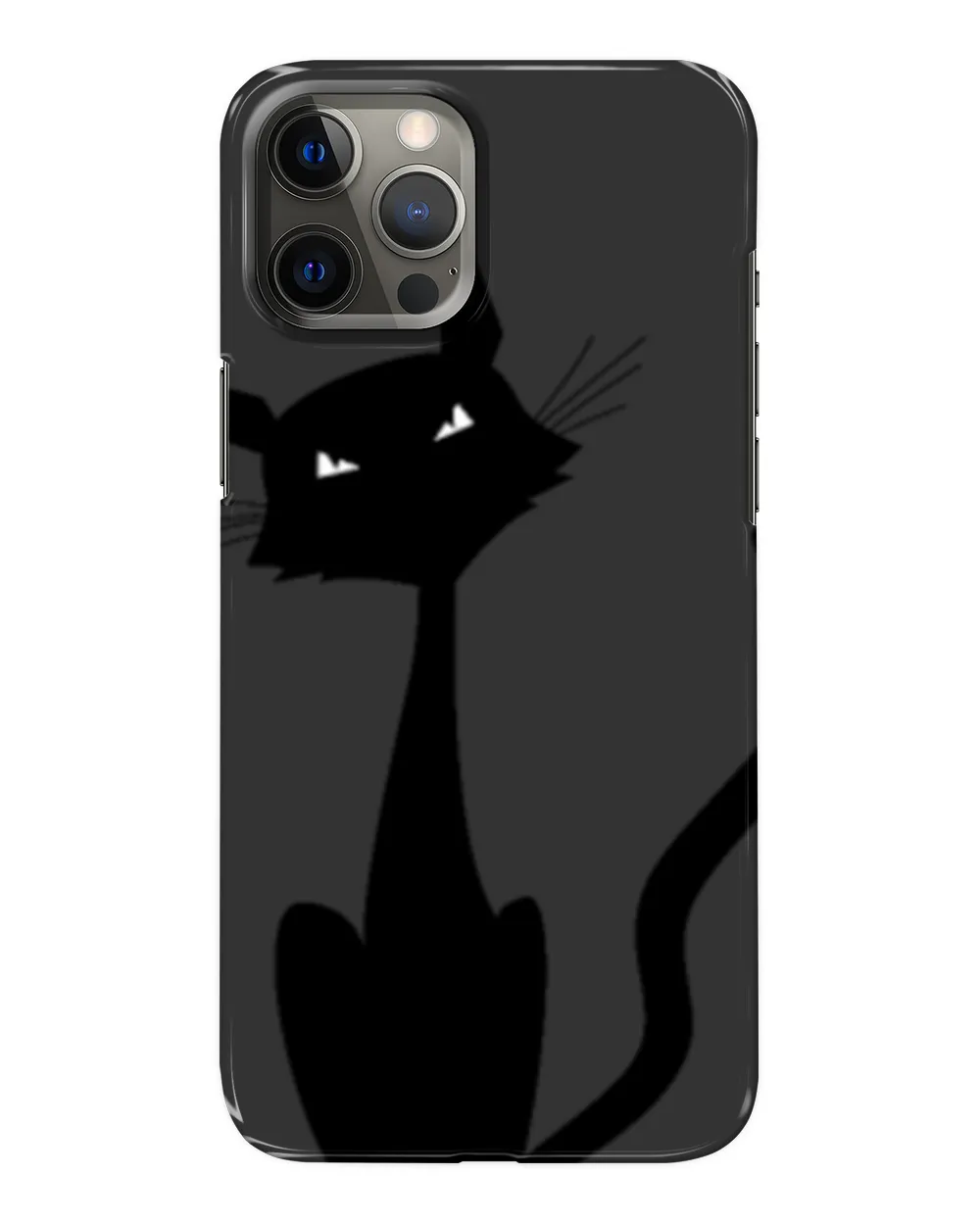 mysterious cat406
