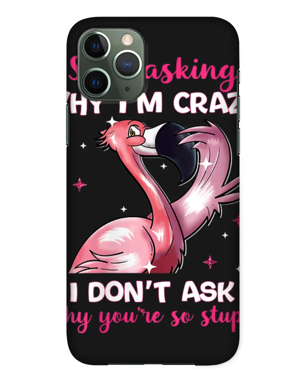Womens Stop Asking Why I'm Crazy - Why You're So Stupid- Flamingo V-Neck T-Shirt Hoodie shirt