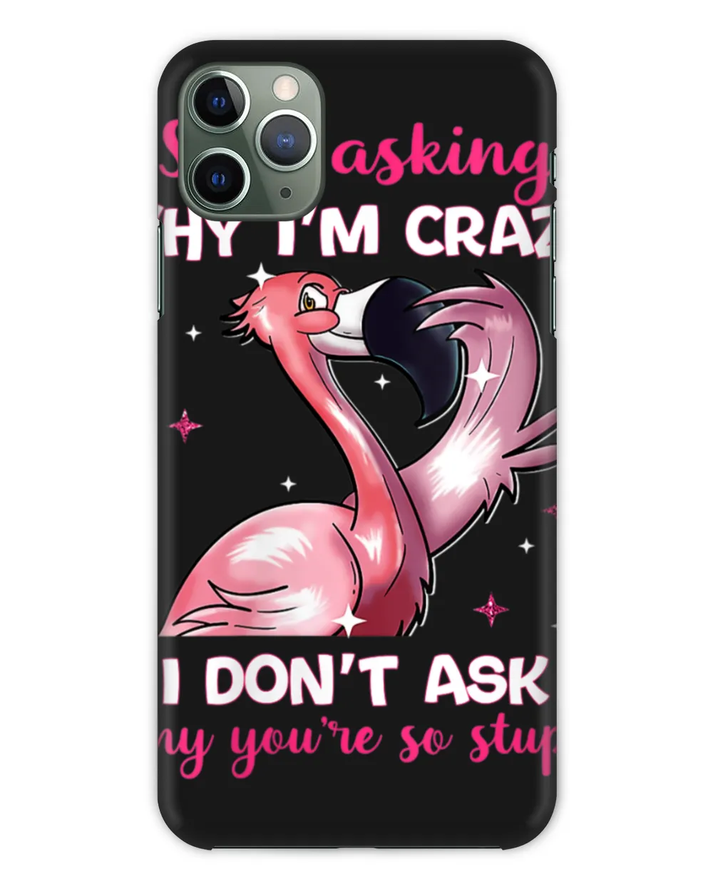 Womens Stop Asking Why I'm Crazy - Why You're So Stupid- Flamingo V-Neck T-Shirt Hoodie shirt
