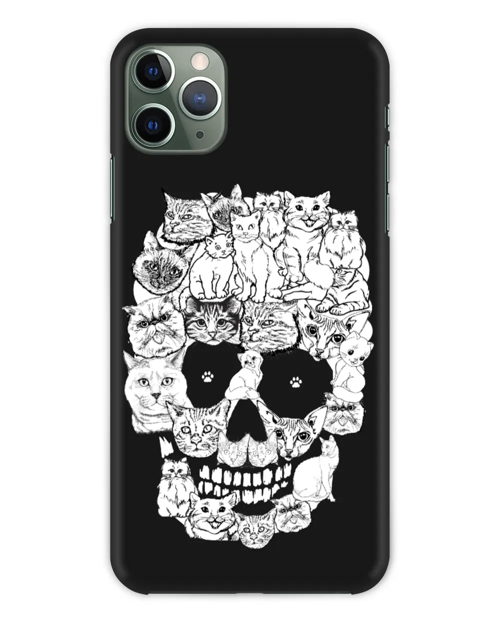cats skull