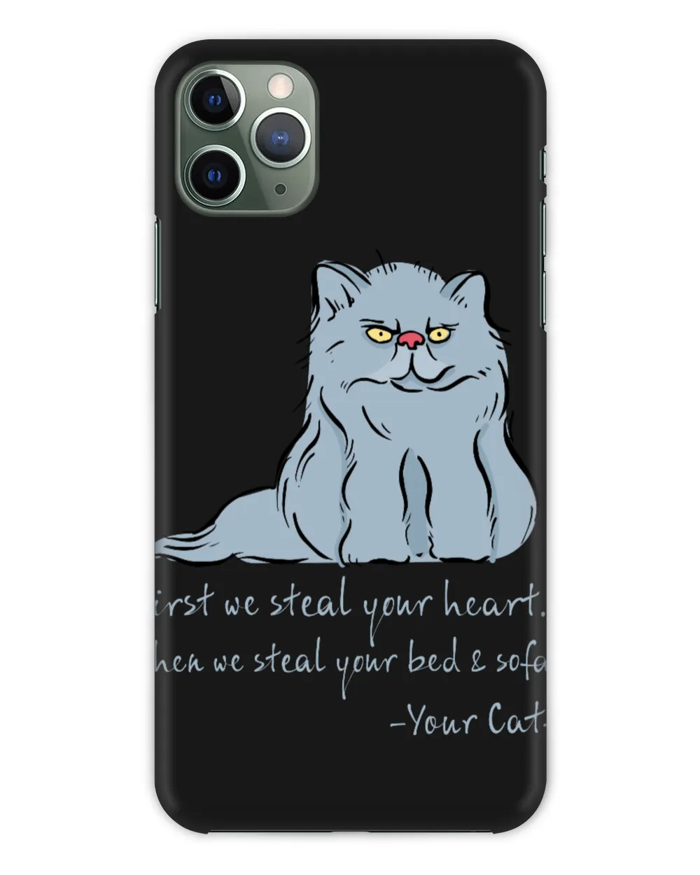 First We Steal Your Heart Then We Steal Your Bed Sofa Your Cat