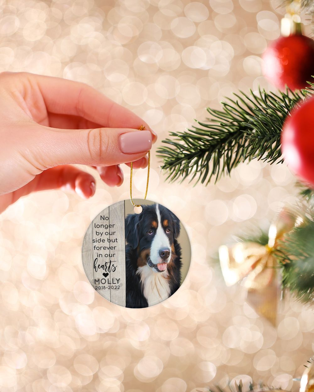 Personalized Custom Dog Pet Memorial Christmas Photo Ceramic Ornament ORN05 Porcelain Ornament - Circle white one-sided __single