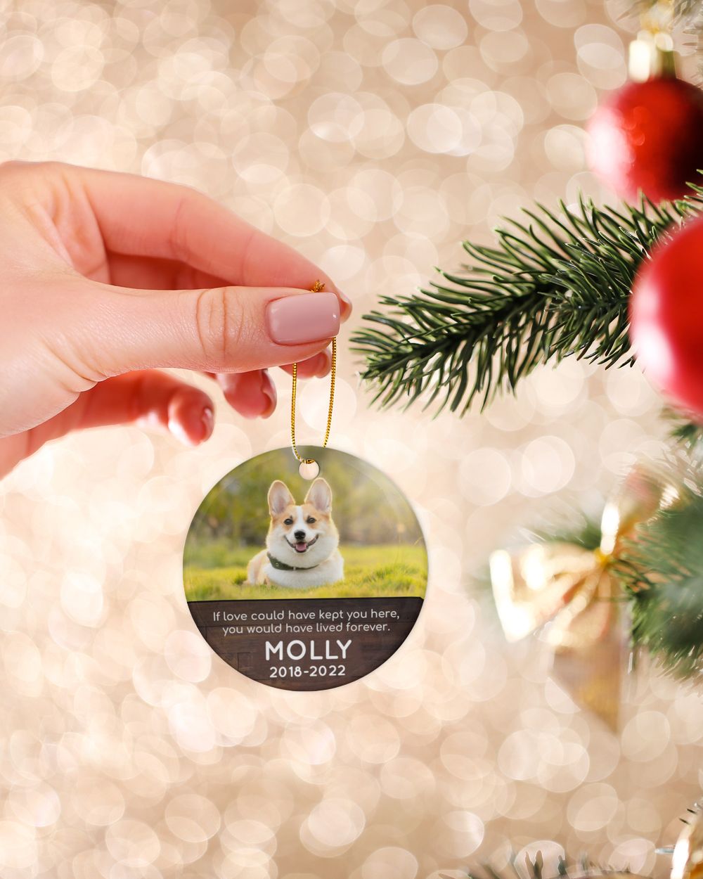 Personalized Custom Photo Dog Pet Memorial Sympathy Christmas Name Ceramic Ornament ORN14 Porcelain Ornament - Circle white one-sided __single