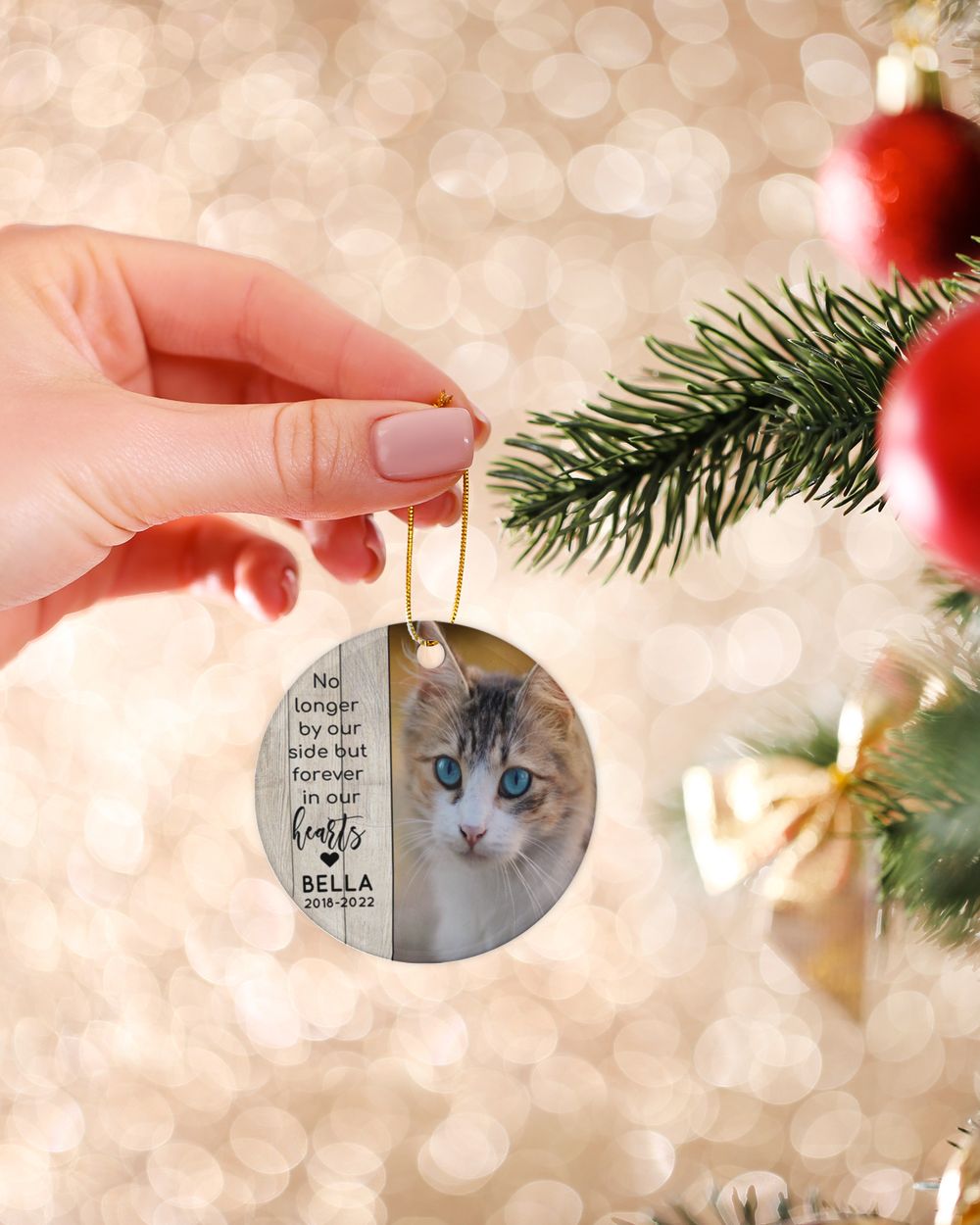 Personalized Custom Cat Pet Memorial Christmas Photo Ceramic Ornament Porcelain Ornament - Circle white one-sided __single