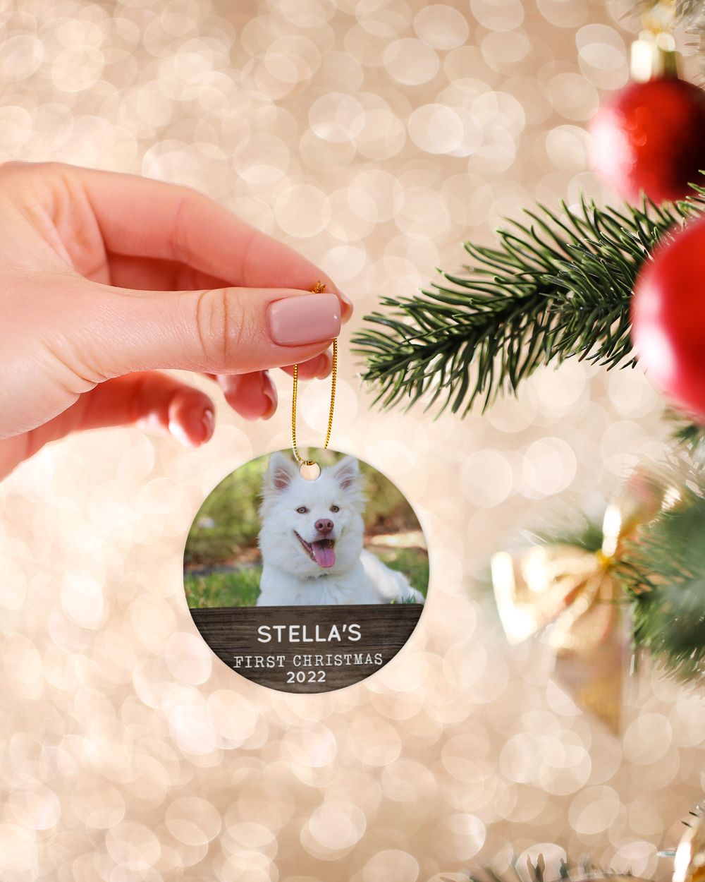 Personalized Custom Dog Puppies First Christmas Ceramic Ornament Porcelain Ornament - Circle white one-sided __single