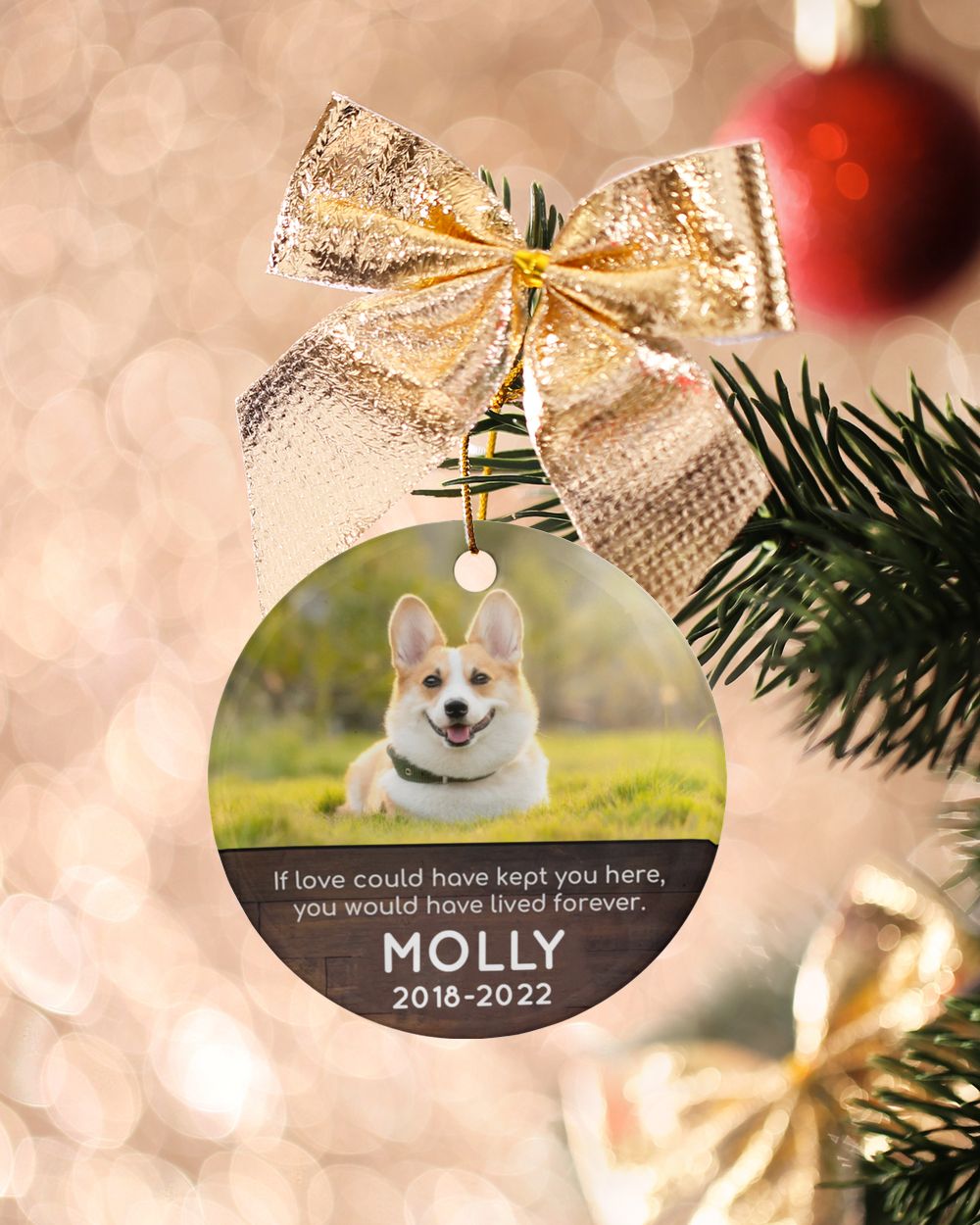 Personalized Custom Photo Dog Pet Memorial Sympathy Christmas Name Ceramic Ornament ORN14 Porcelain Ornament - Circle white one-sided __single
