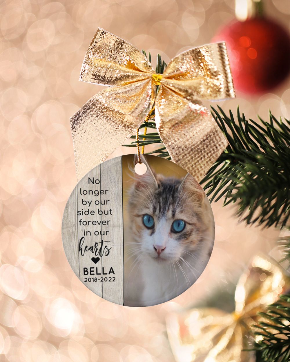 Personalized Custom Cat Pet Memorial Christmas Photo Ceramic Ornament Porcelain Ornament - Circle white one-sided __single