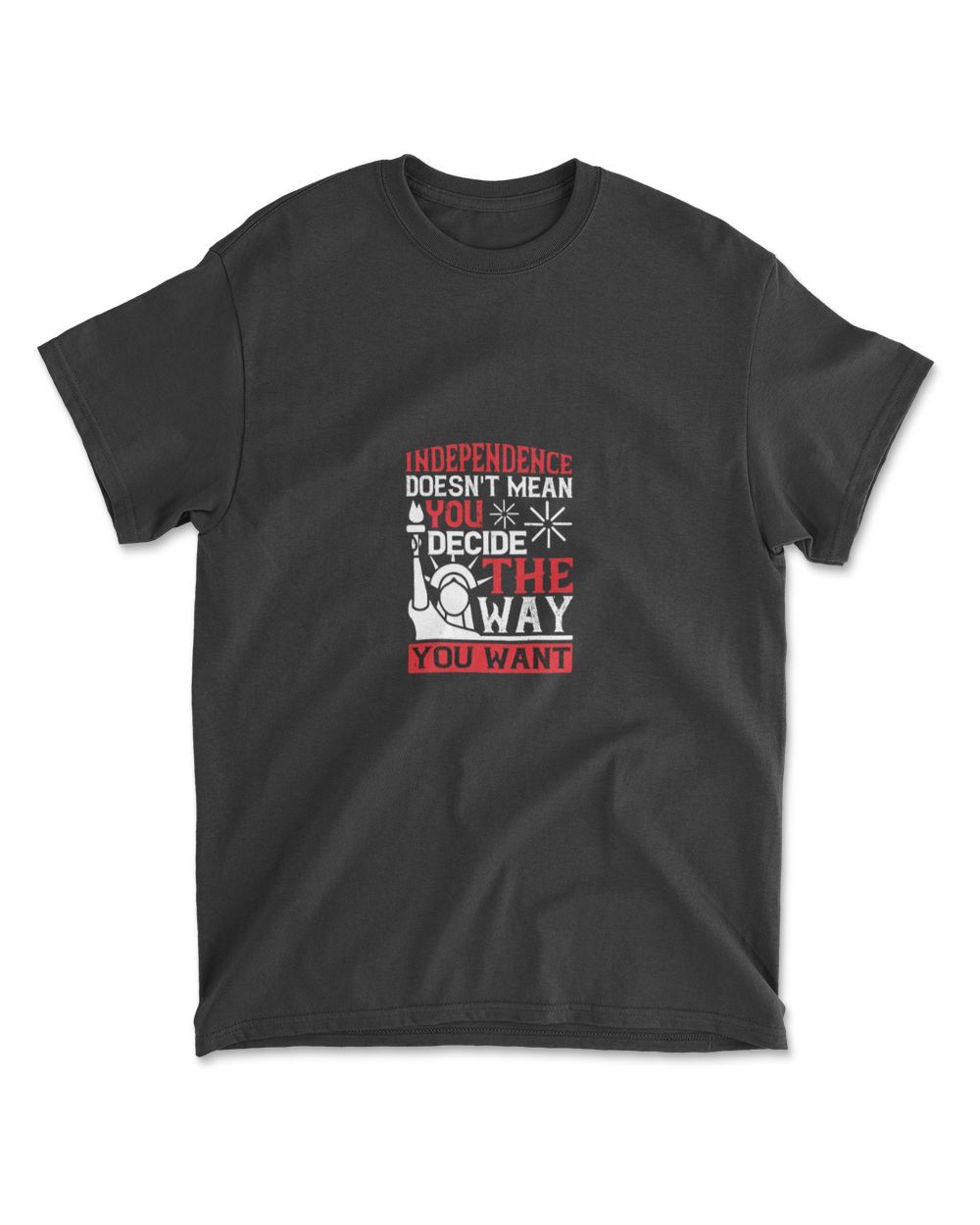 Independence Doesn't Mean You Decide The Way You Want Independence T-Shirt Men's Standard T-Shirt black s