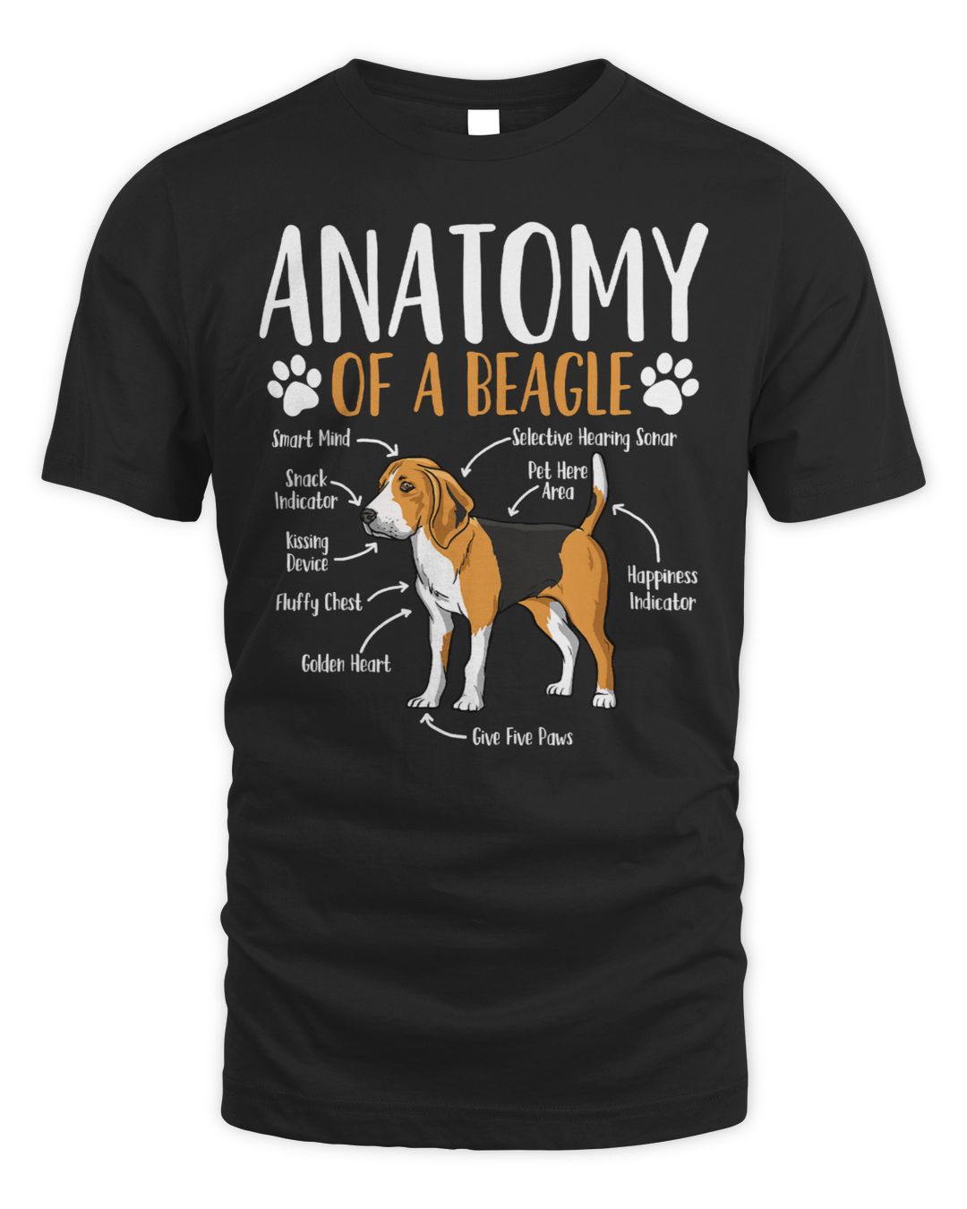 Beagle Dog Anatomy 155 Beagles SenPrints
