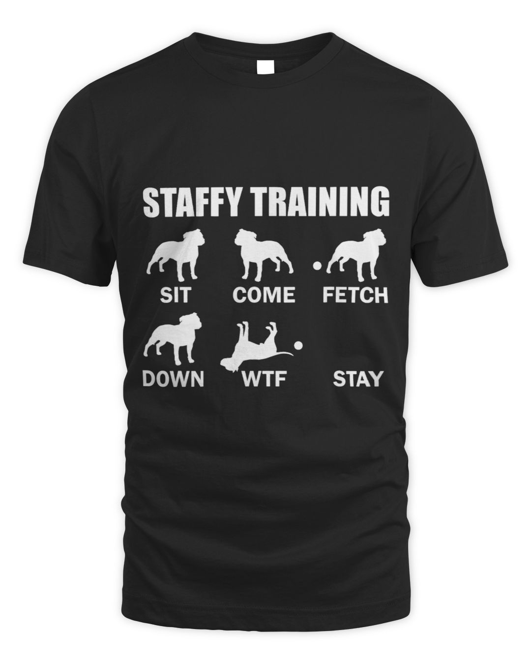 Staffy Training Staffordshire Bull Terrier gokata