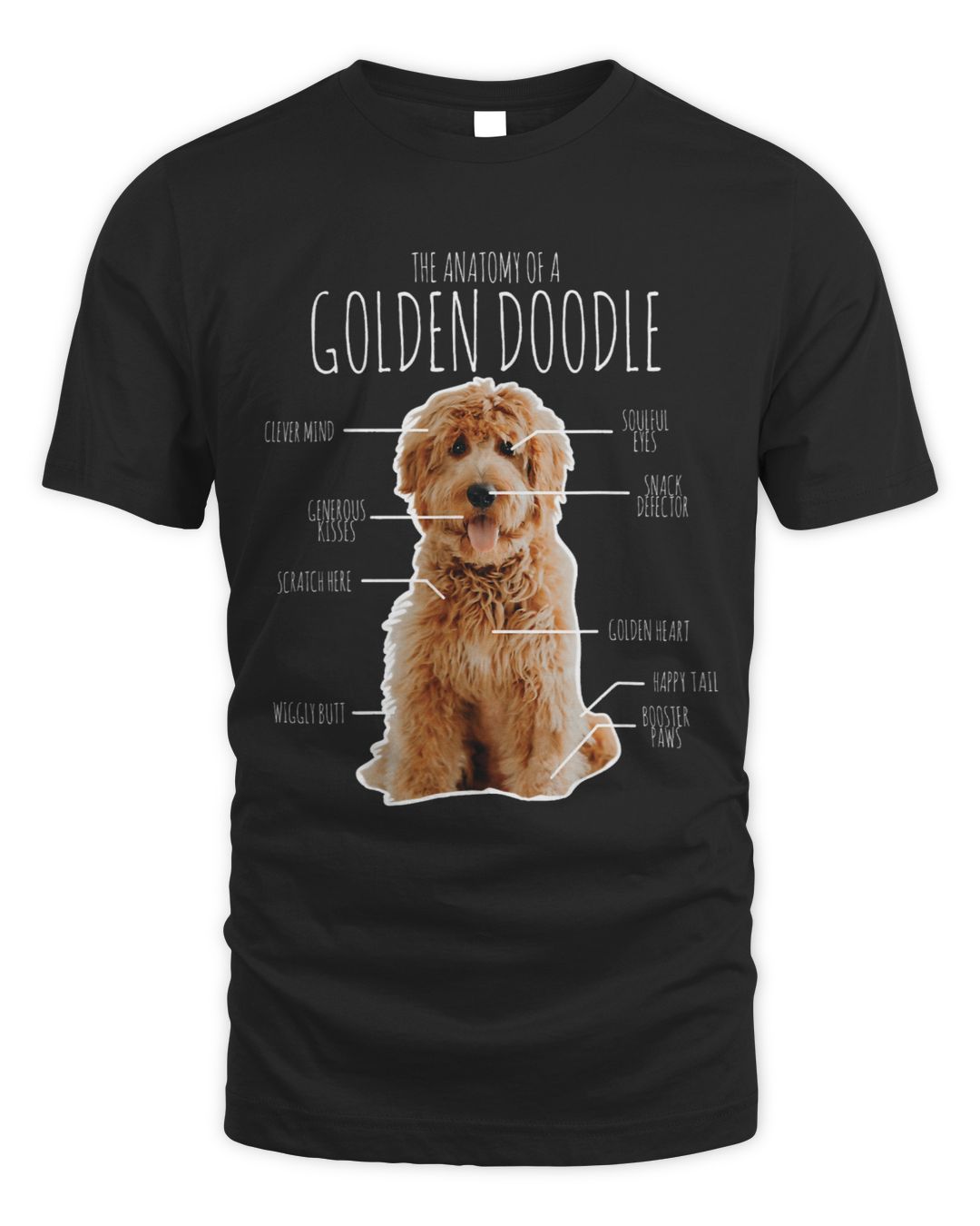 Goldendoodle Anatomy Of A Goldendoodle Dog Funny Doodle Dog Animal