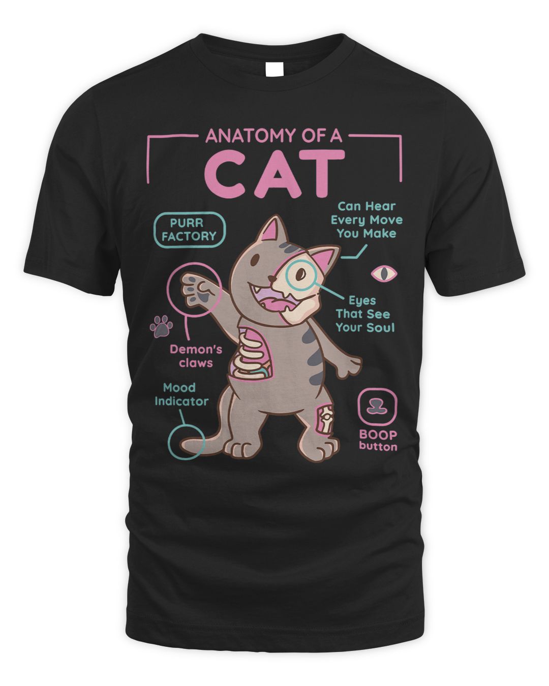 Anatomy of a cat medical sheet anatomical cat model cute cat SenPrints
