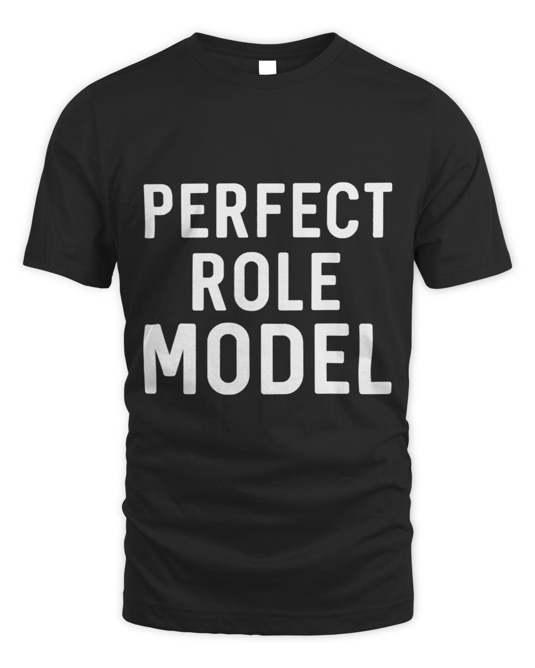 Perfect Role Model Vetsty com Gift For Your Family