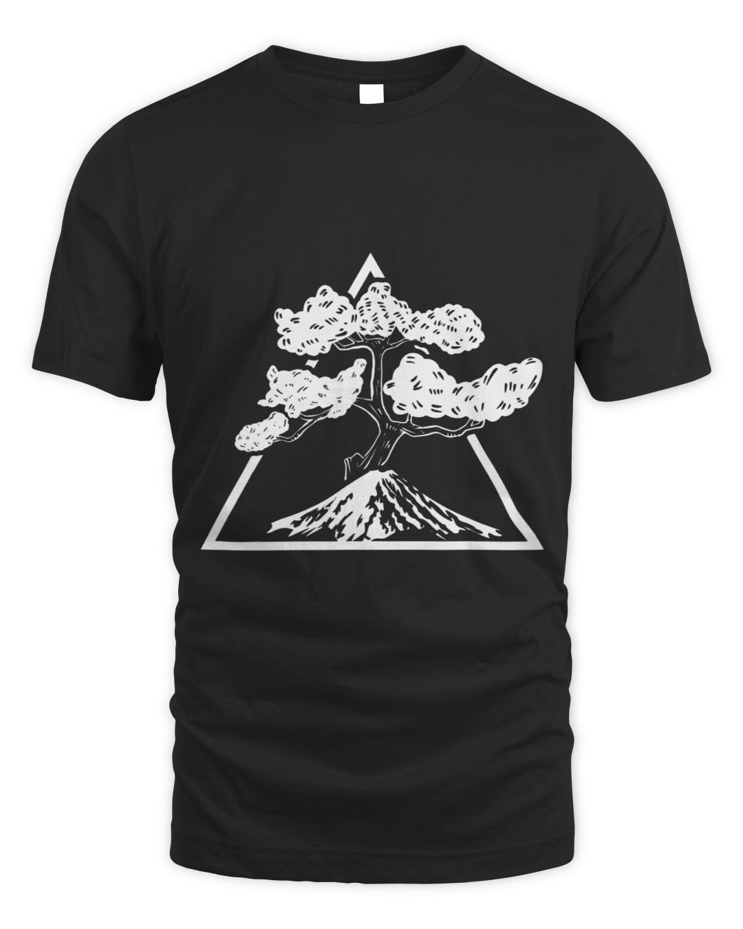 Japanese Cherry Blossom Tree Sakura Bonsai Japan Nature